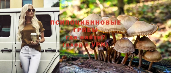 прущая мука Верхний Тагил