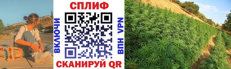 Марихуана Bruce Banner  Вытегра 